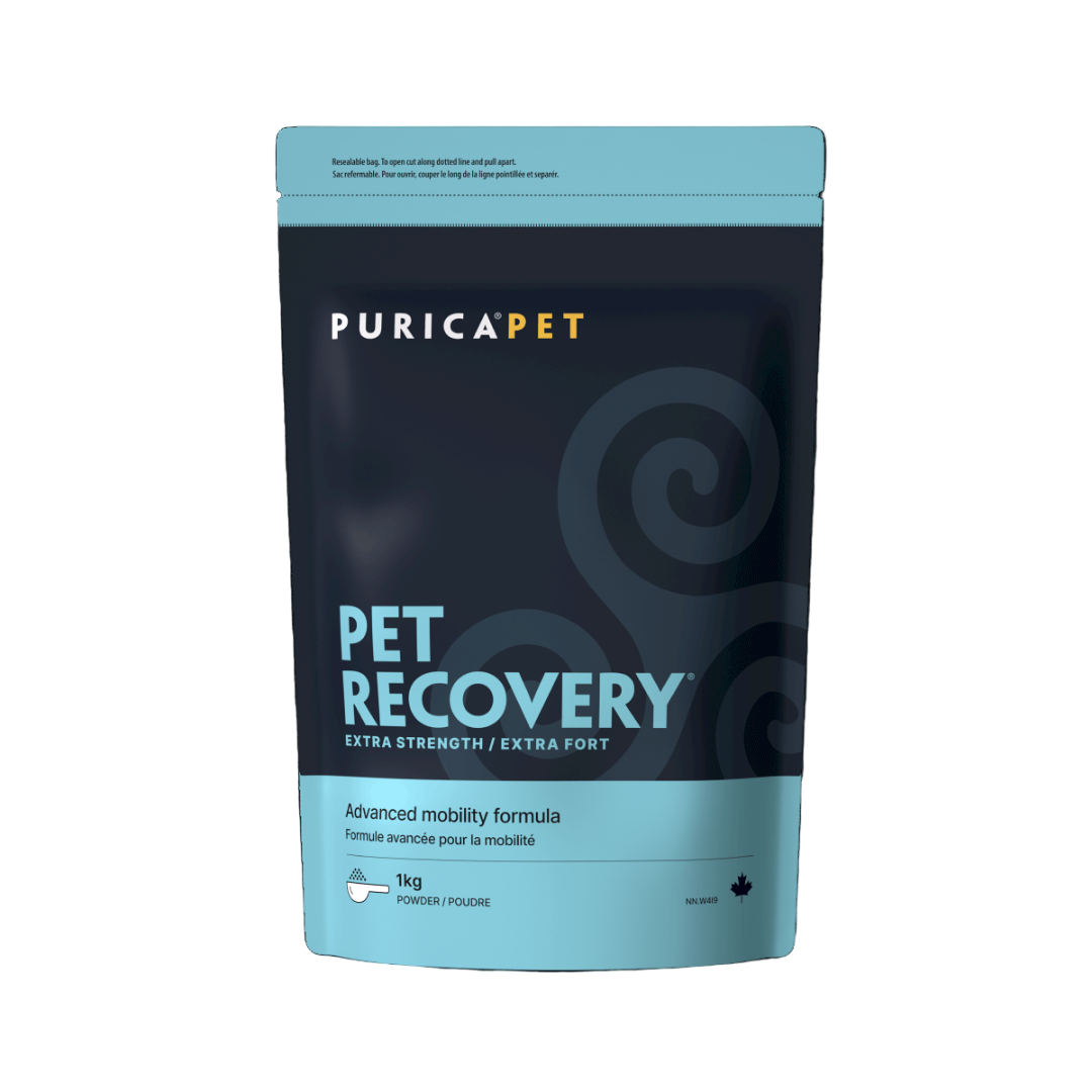 Purica Pet Pet Recovery formula packaging on a dark background